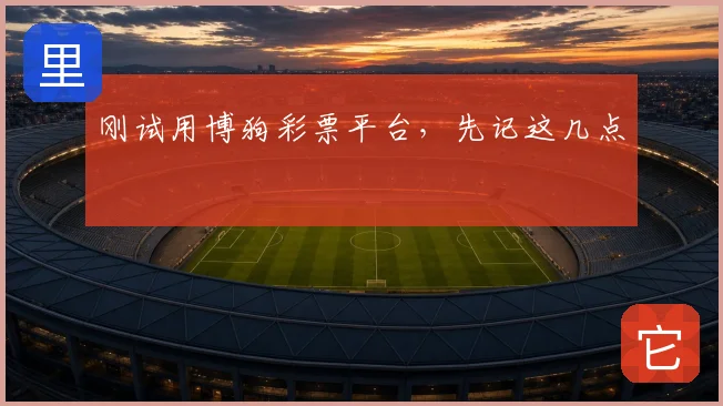 刚试用博狗彩票平台,先记这几点