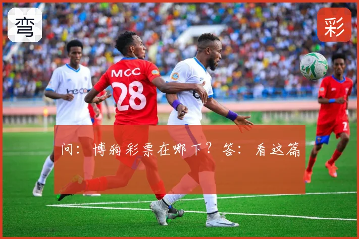 问：博狗彩票在哪下？答：看这篇